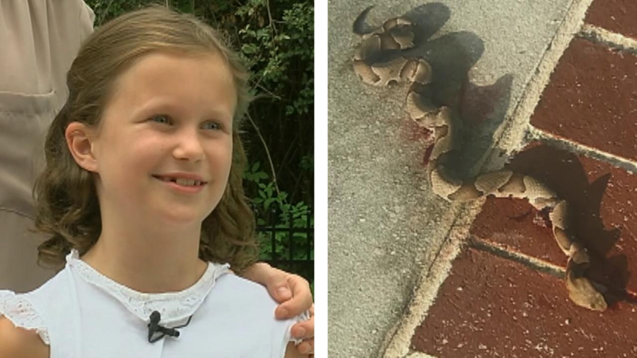 Girl bitten by venomous snake while playing in family pool