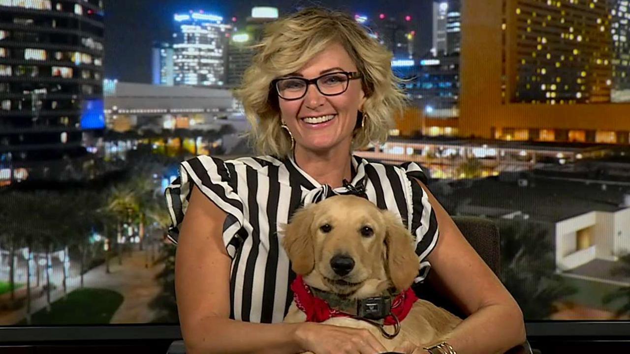 Dog who saved owner from rattlesnake joins 'Fox & Friends'