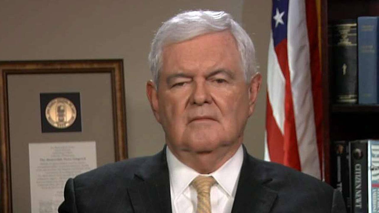 Gingrich: Dems see non-citizens as key to victory
