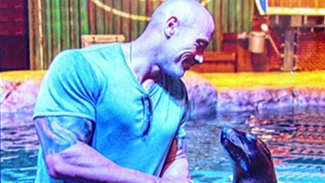 The Rock upsets animal rights activists with aquarium trip