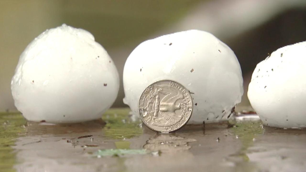 Hail storm interrupts day at the zoo