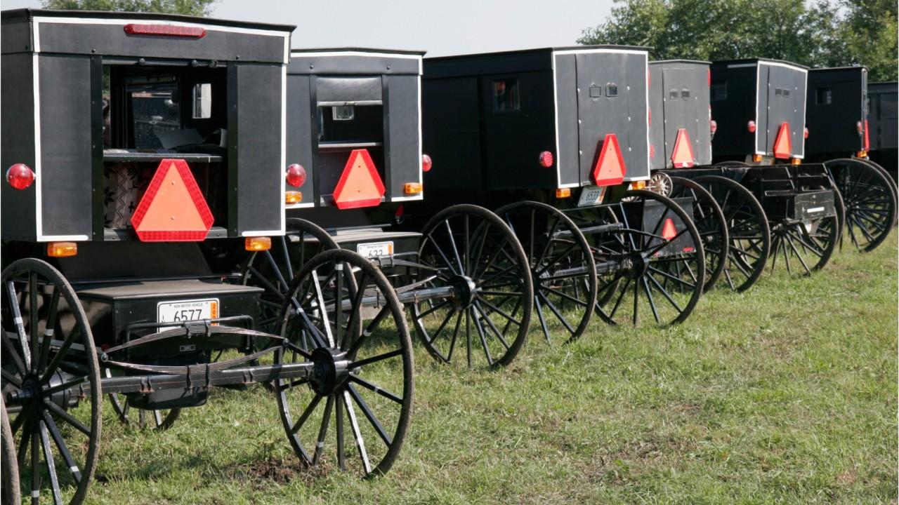 Michigan man creates 'Amish Uber' with horse and buggy