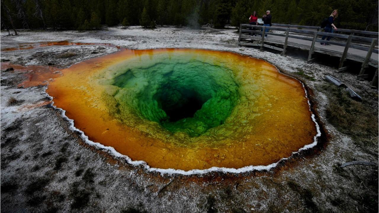 Yellowstone Vulkan News