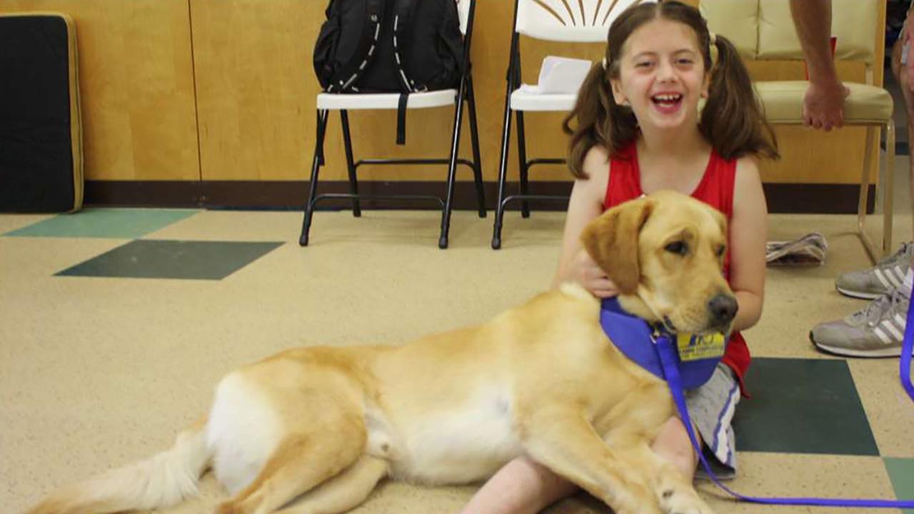 'The Daily Briefing' marks International Assistance Dog Week