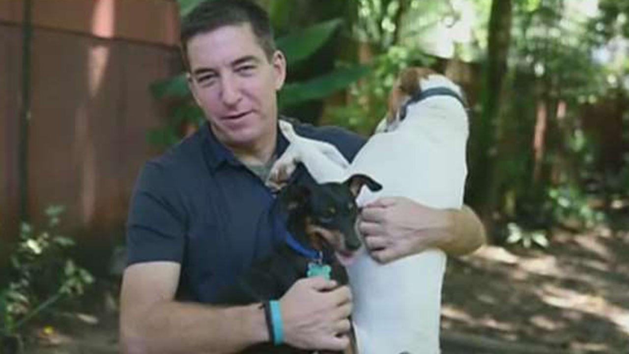 Why Glenn Greenwald is a dog's best friend