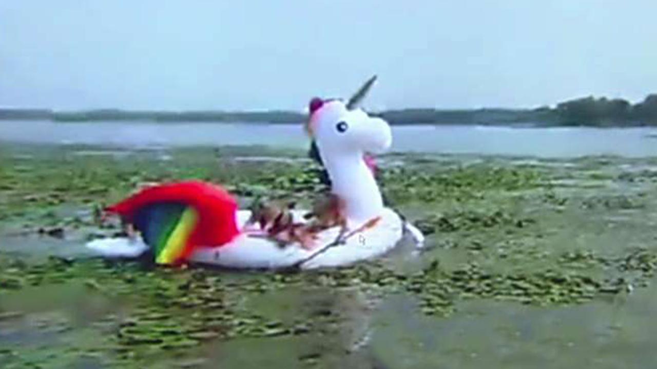 Police save women stranded on unicorn raft