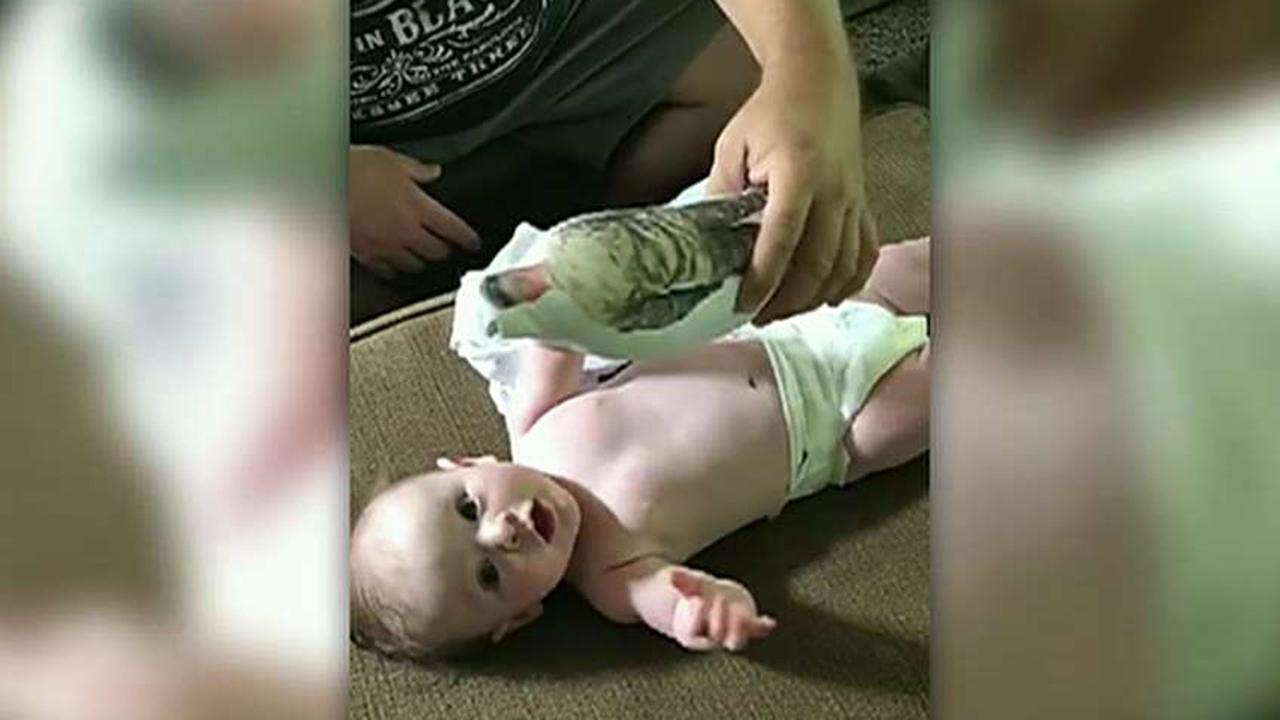 Baby reacts to doll that looks like his deployed father