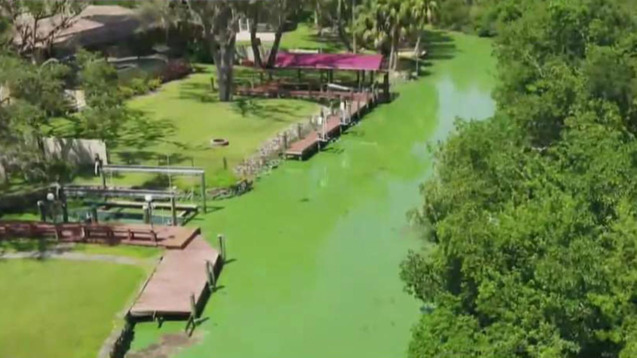 Algae blooms cause major problems in Florida