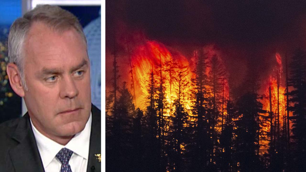 Zinke: California wildfires driven by 'way too much fuel'
