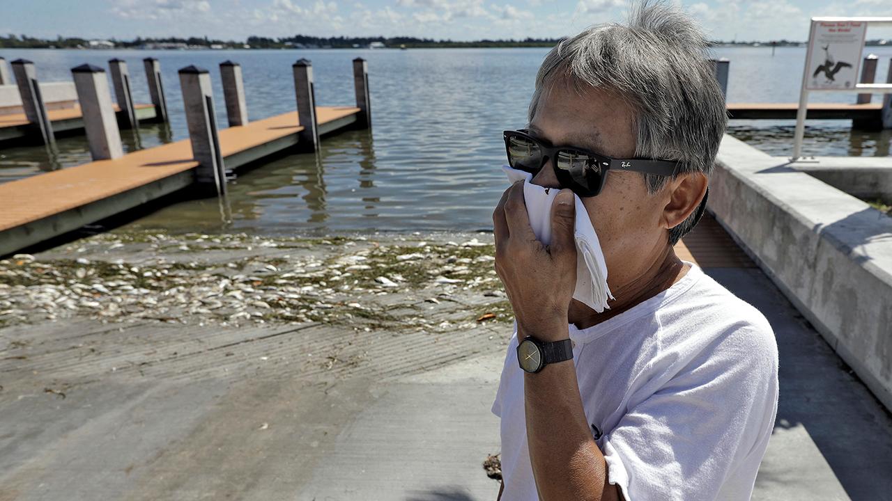 Red tide disrupts tourism along Florida's Gulf Coast