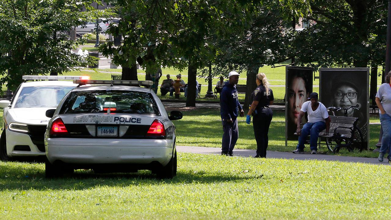 Dozens of people overdose in New Haven, Connecticut park