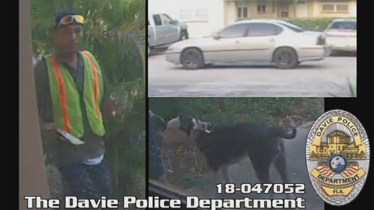 Florida police: Man broke into house, stole pit bull