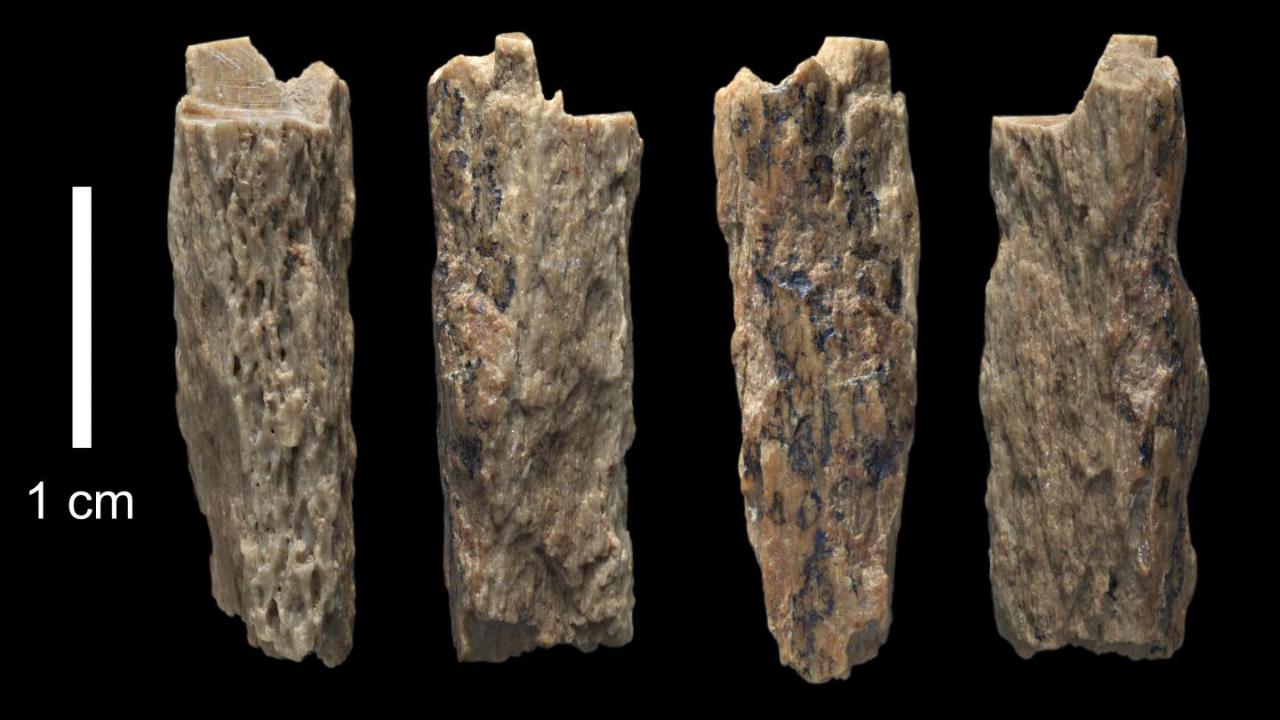 Scientists thrilled to find Neanderthal, Denisovan hybrid