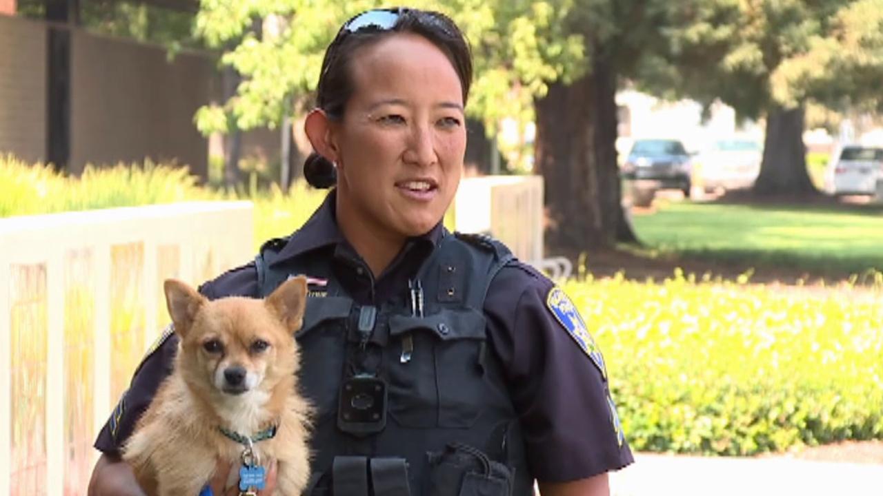 Vacaville officer adopts dog rescued from Nelson Fire