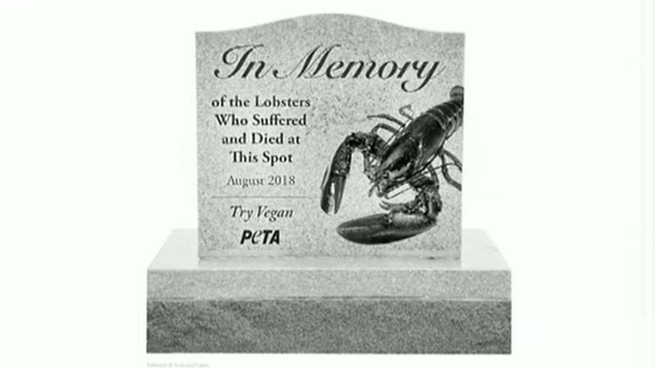PETA wants monument for lobsters killed in Maine