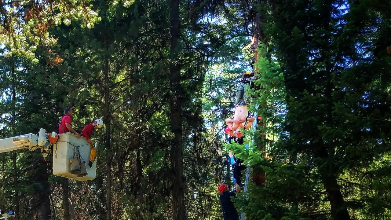 Oregon hunter falls from his tree stand and is left hanging for two days