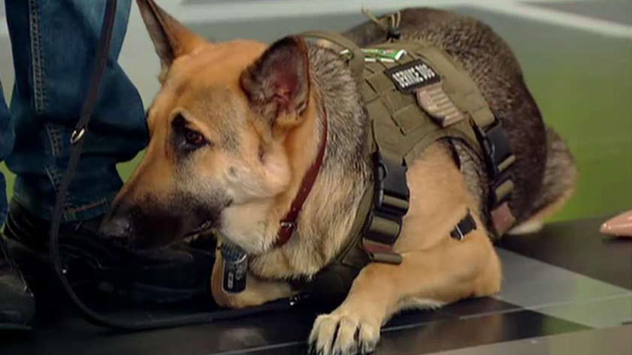 Marine veteran opens up about his gratitude for service dog