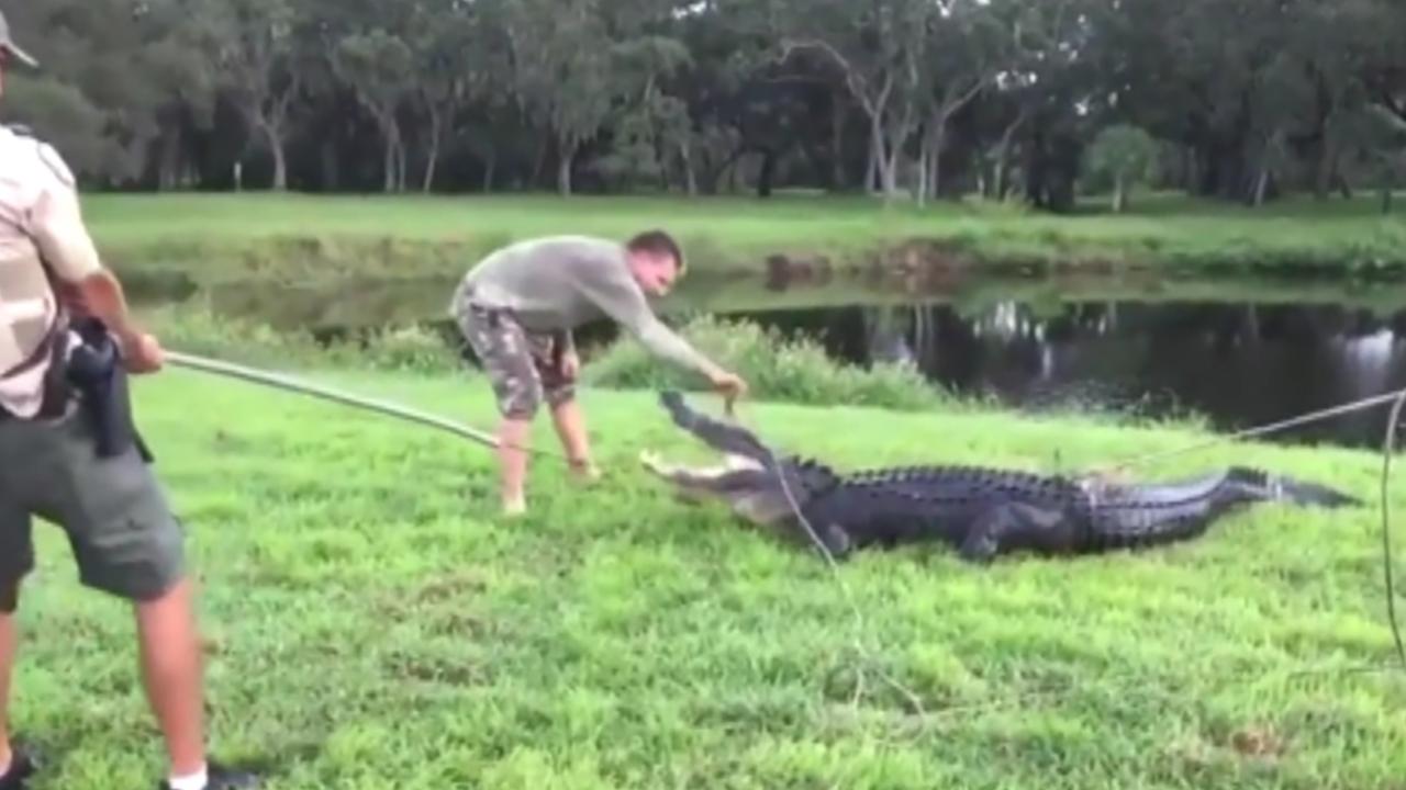 Alligator bites man at disc golf course in Florida 