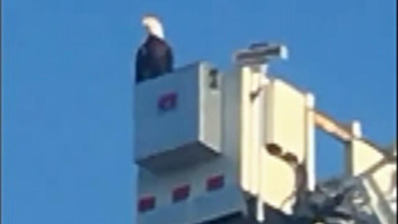 Bald eagle lands on fire department's 9/11 memorial