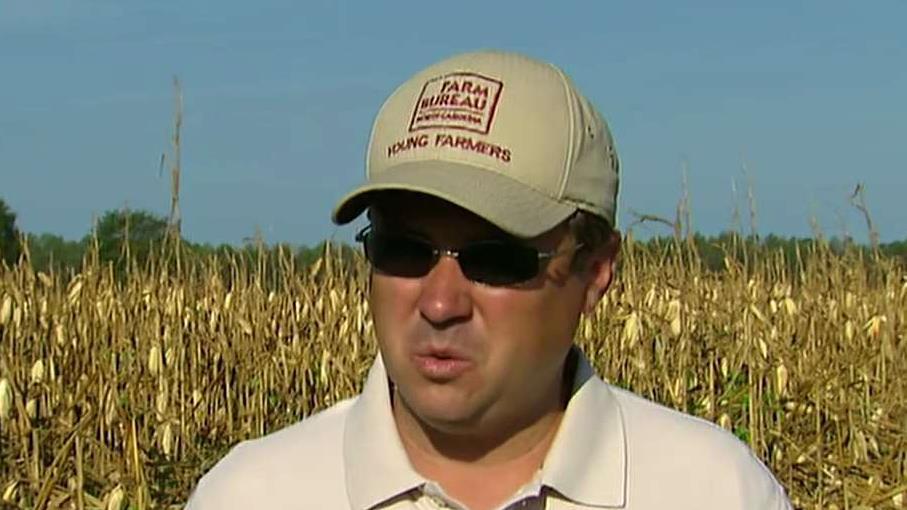 North Carolina farmers suffer major losses after storm