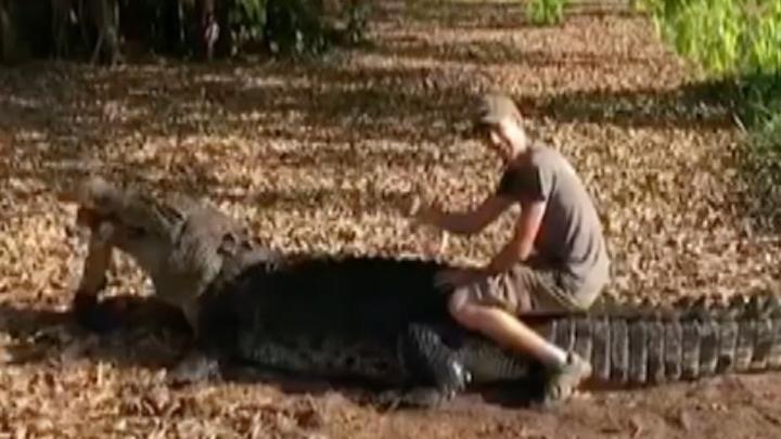 Tourist’s crocodile stunt angers Australian officials