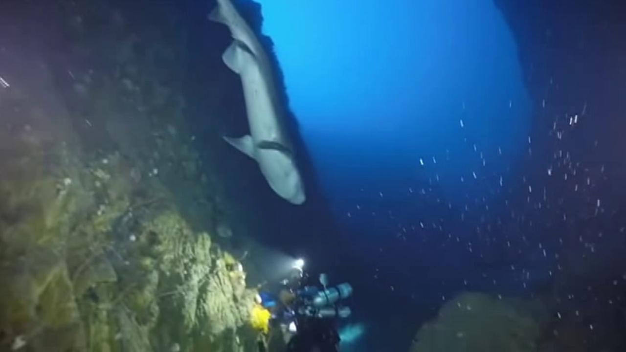 Shark spotted by scuba divers at 420 feet
