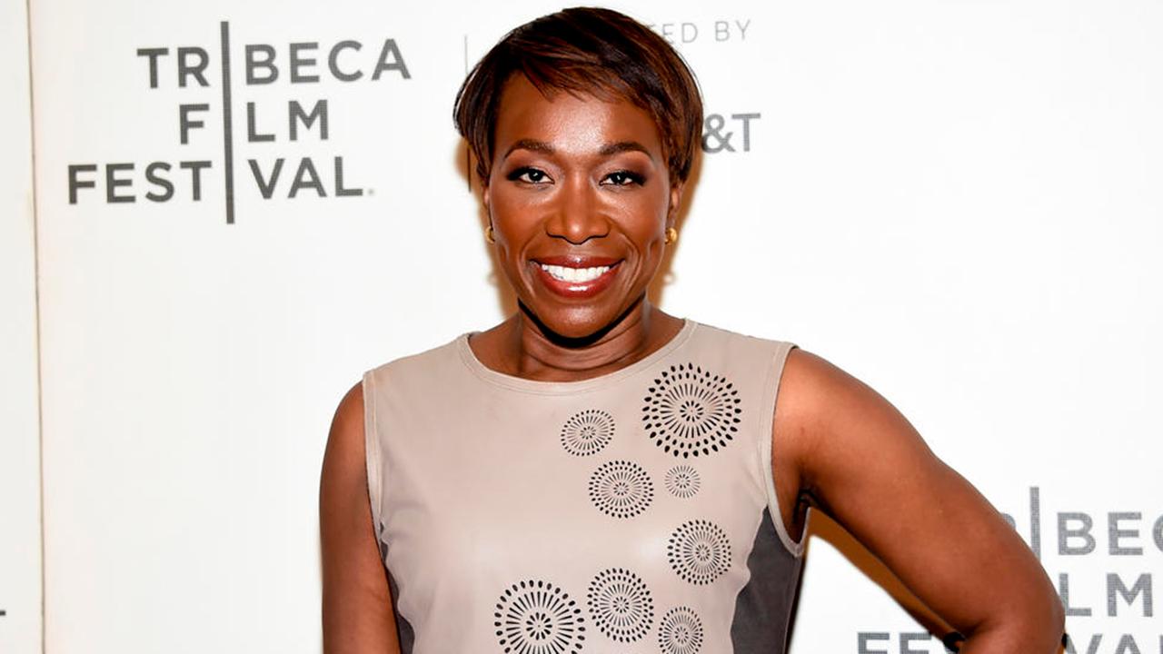 Joy Reid sued over racial slur