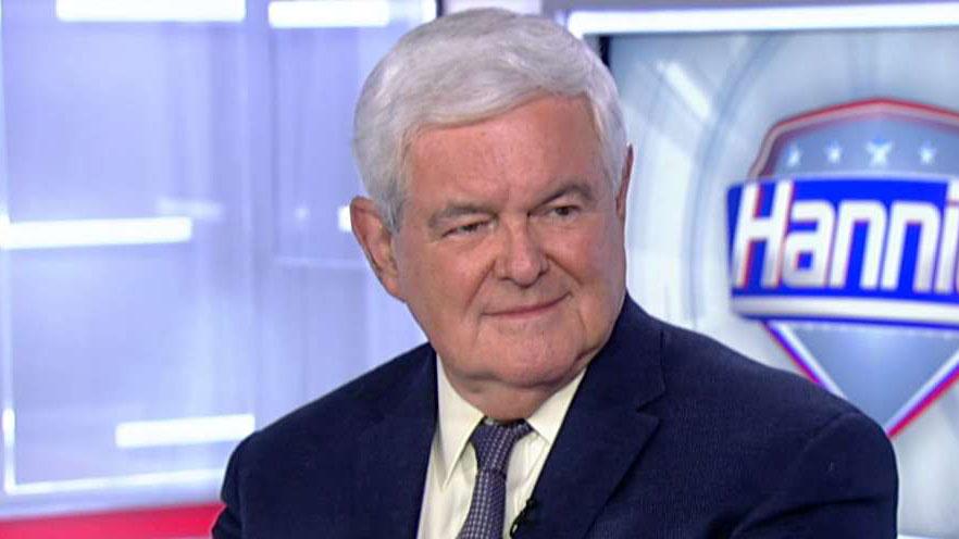 Newt Gingrich: Midterm election is about 'two Americas'
