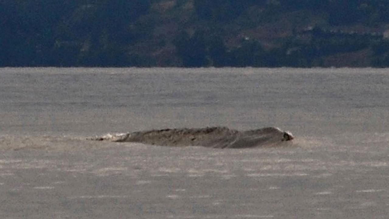 Canada’s legendary Ogopogo lake monster caught on video