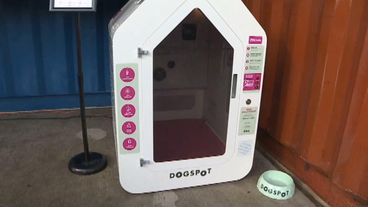 High-tech solution to common problem for dog owners