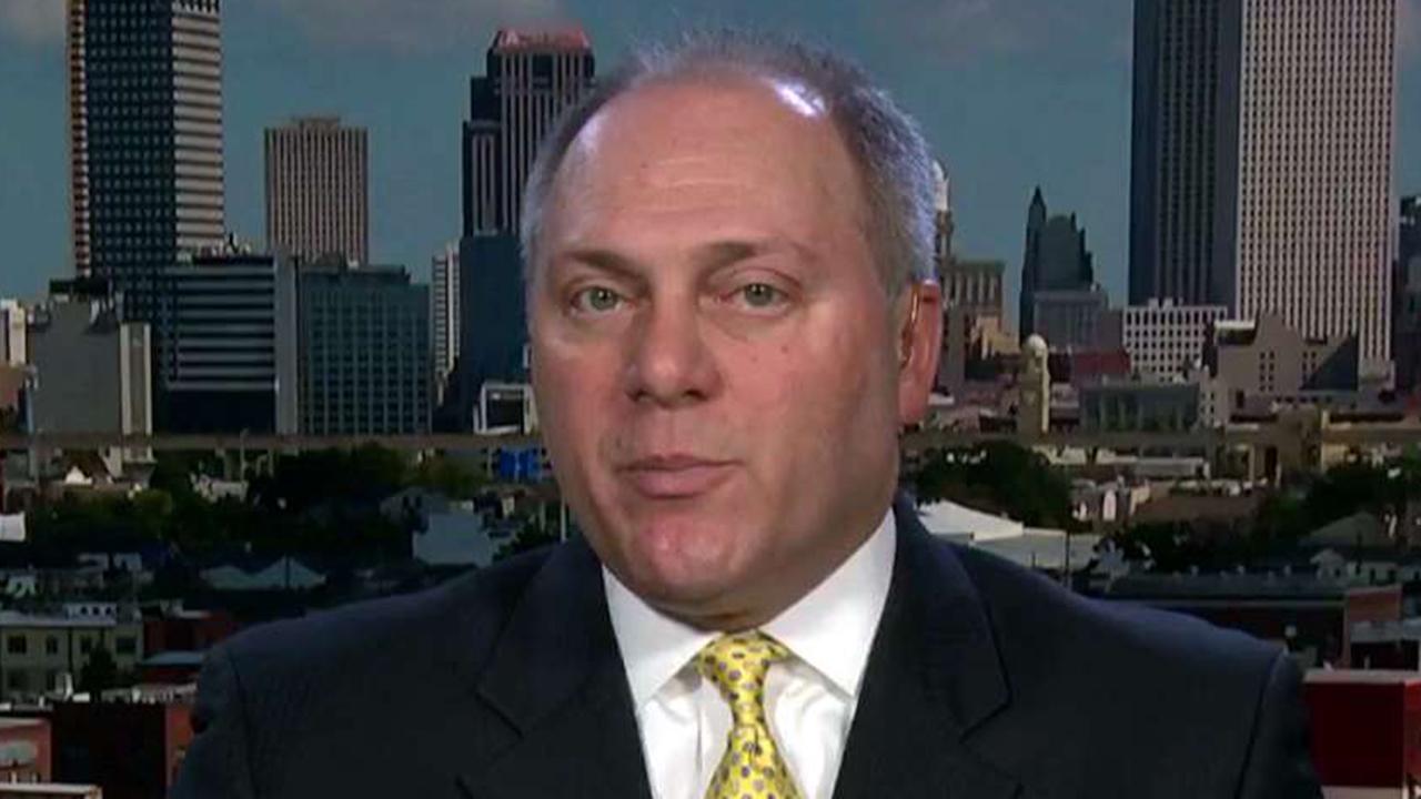 Scalise: Dems' call for violence a threat to our democracy