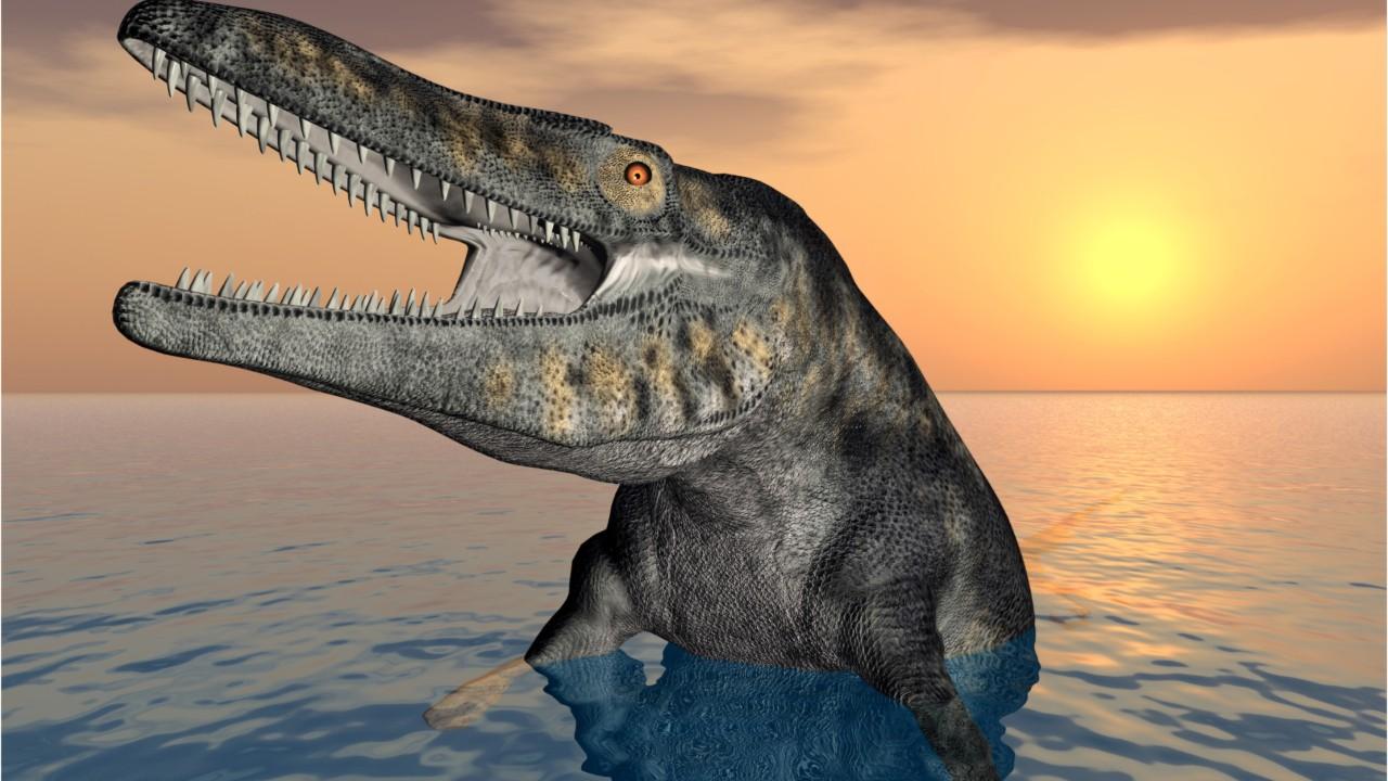 85 million-year-old sea monster found in Kansas
