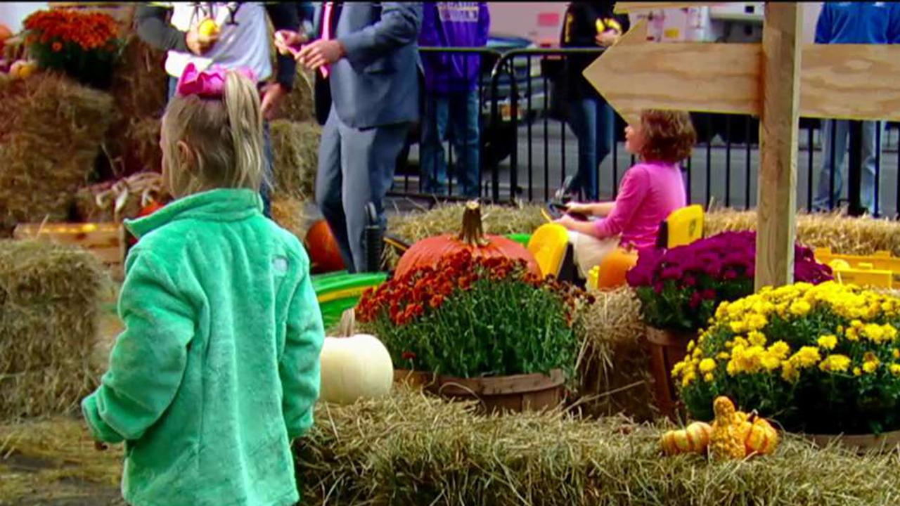 'Fox & Friends' holds fall festival on the square