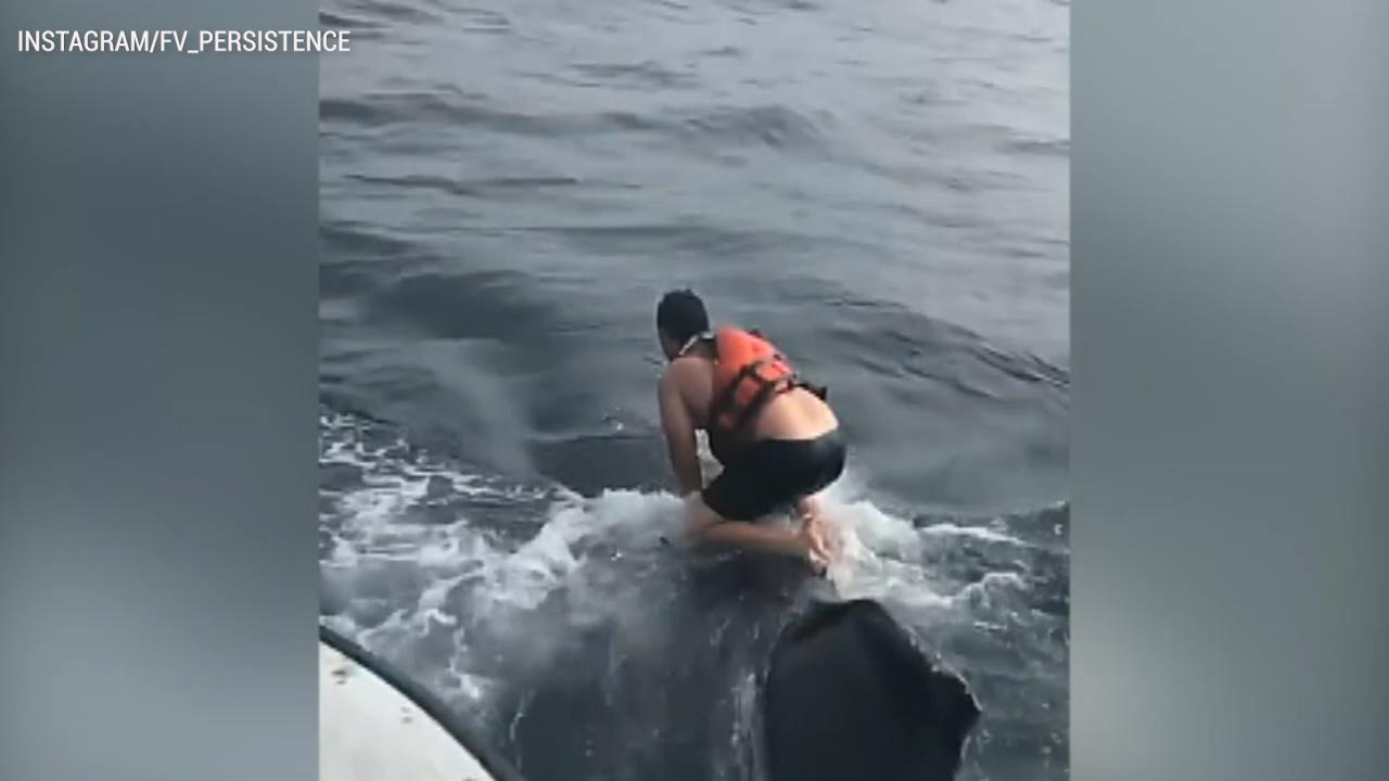 Fisherman jumps on humpback whale to free it from rope