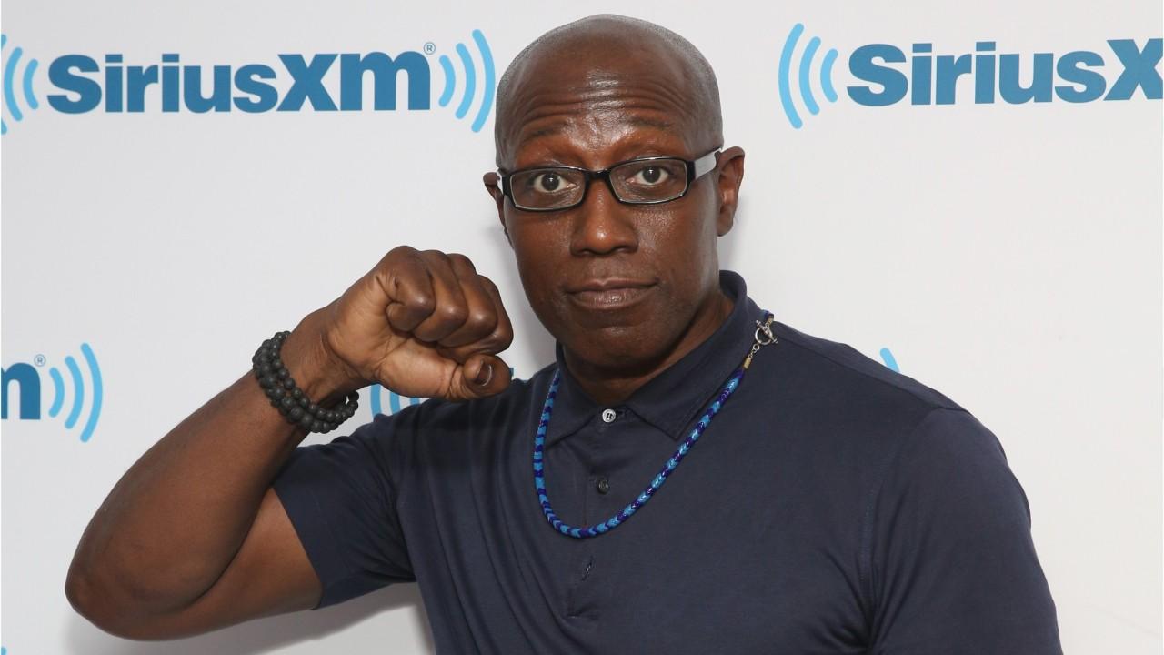 Wesley Snipes must pay $9.5 million in back taxes