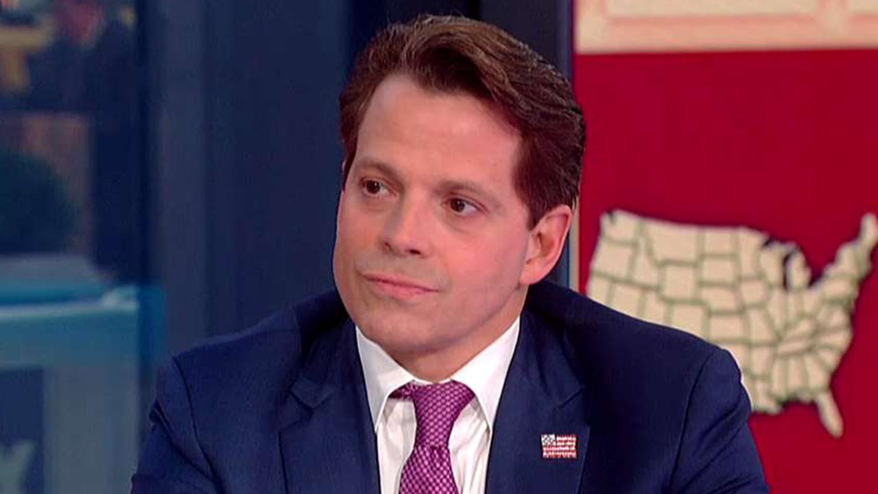 Scaramucci: Midterms a resounding victory for Trump