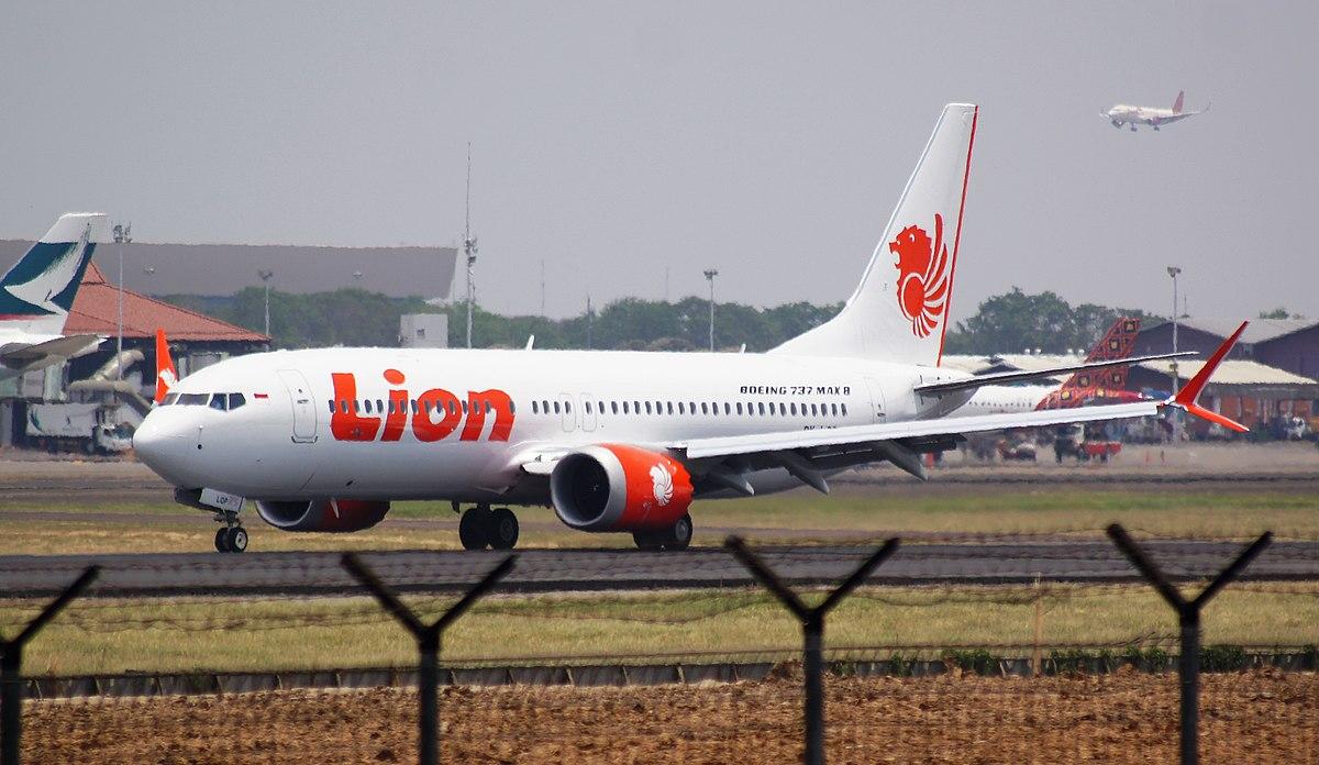 What caused Lion Air Flight 610 to drop out of the sky? The two-month-old Boeing 737 MAX 8 crashed into the Java Sea 13 minutes after takeoff from Jakarta, quickly experiencing erratic speed and altitude levels. The maker of the plane, Boeing, is now facing scrutiny that it might not have told pilots about safety warnings.