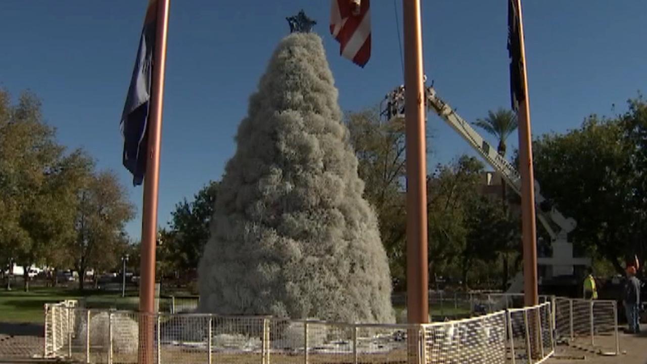 Tumbleweed Christmas tree dazzles in Arizona