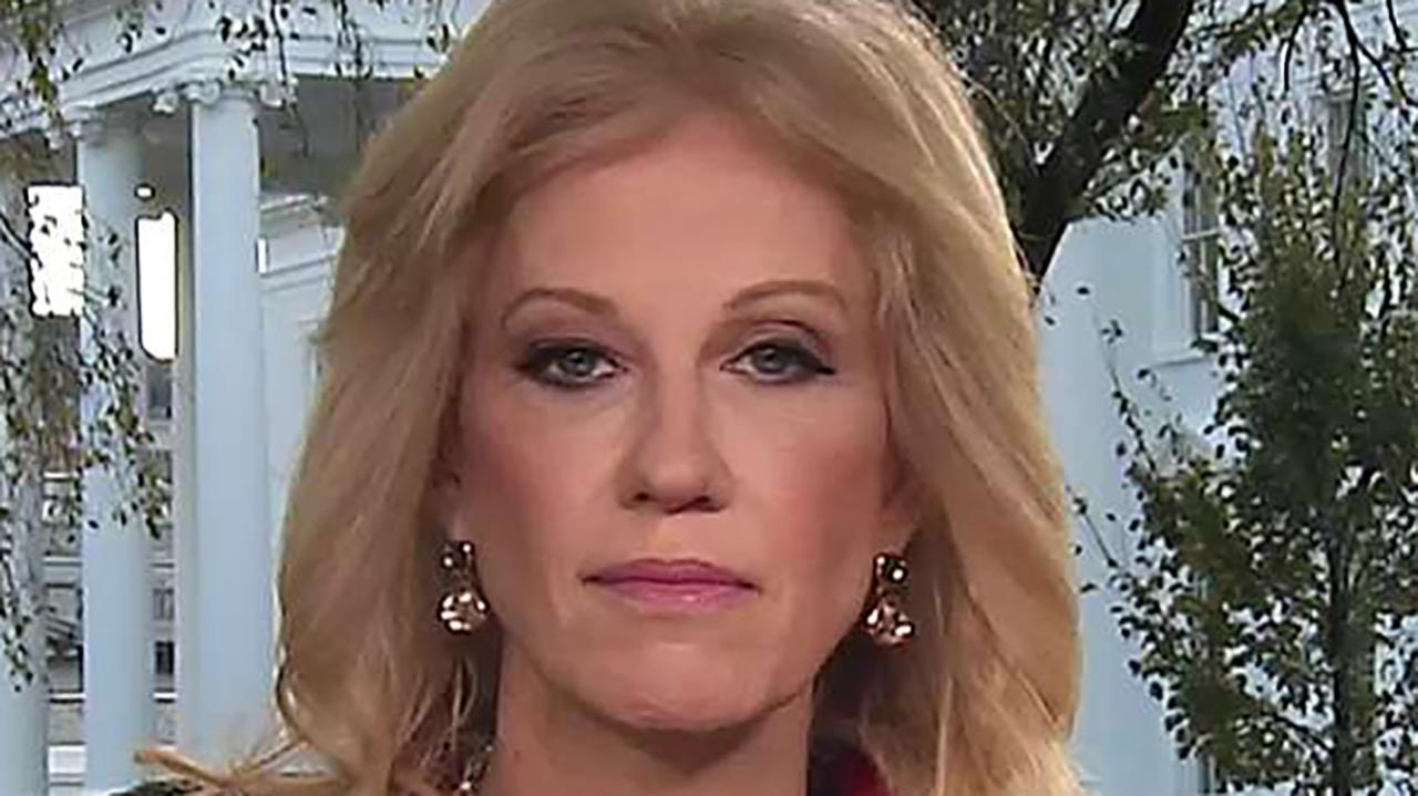 Kellyanne Conway: Congress needs to act on wall, immigration