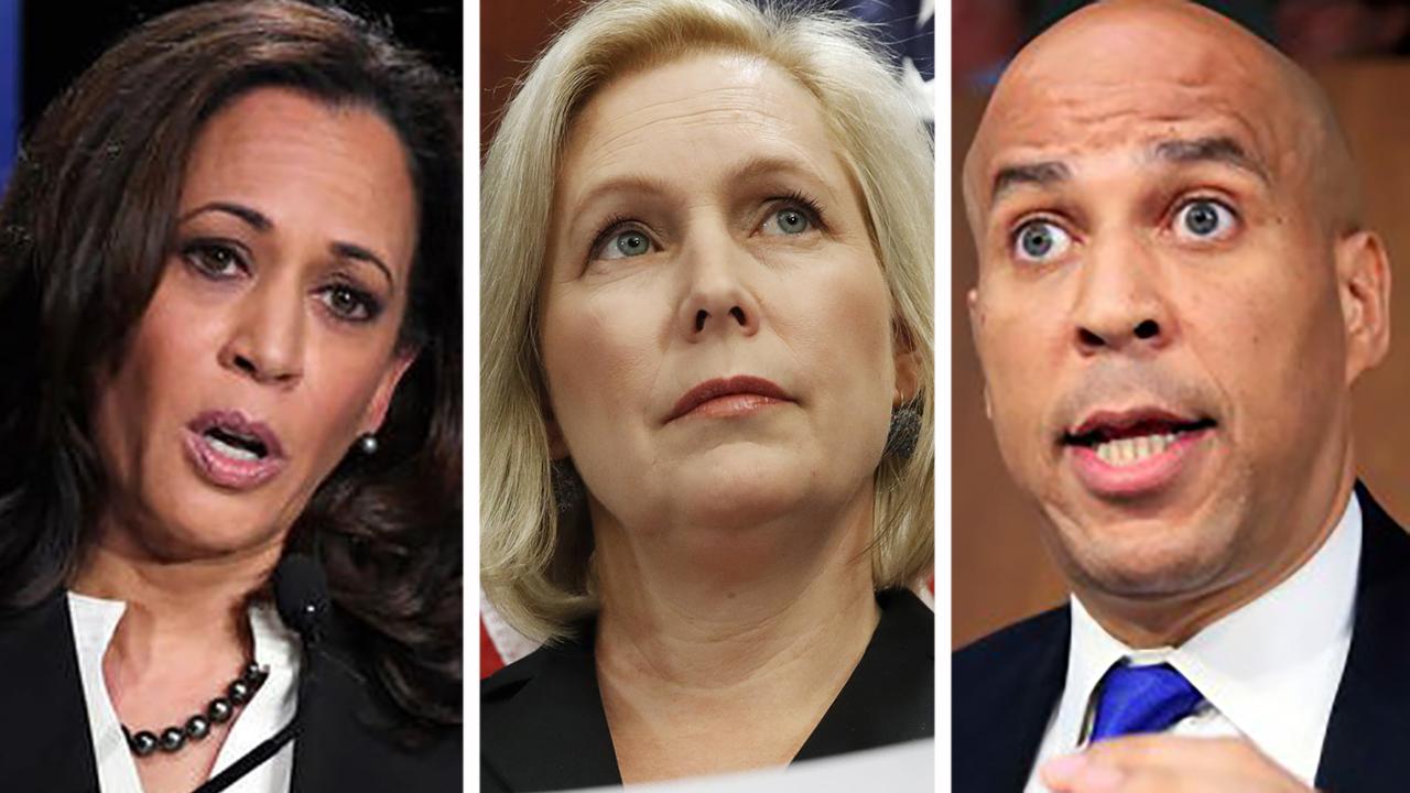 Who should Dems back in order to win 2020?