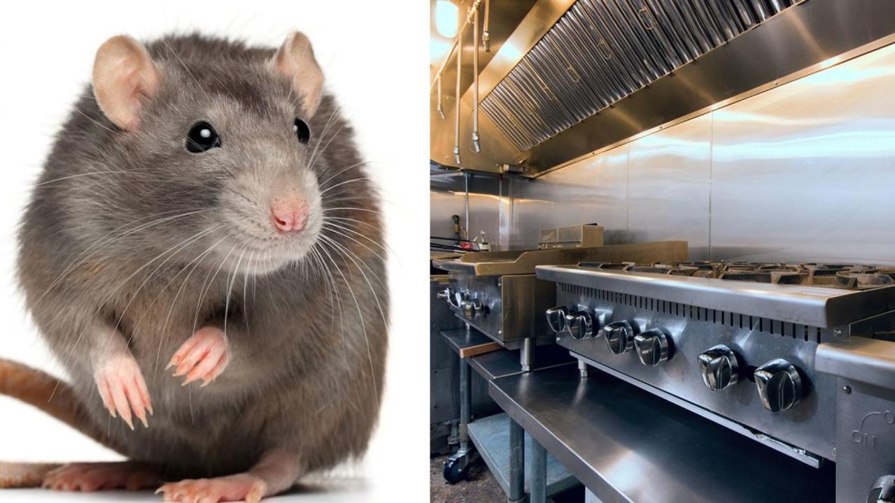 Burger restaurant closed after video of rat on grill goes viral