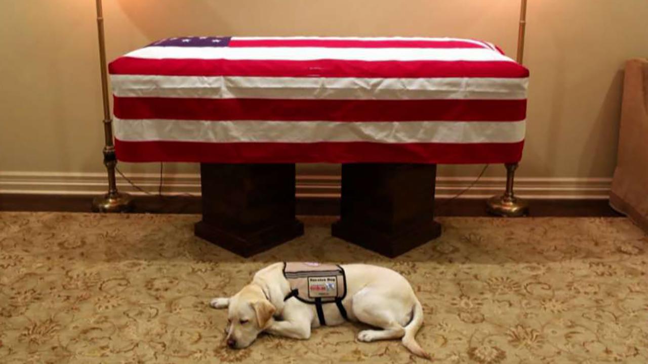 H.W. Bush's service dog Sully travels with casket