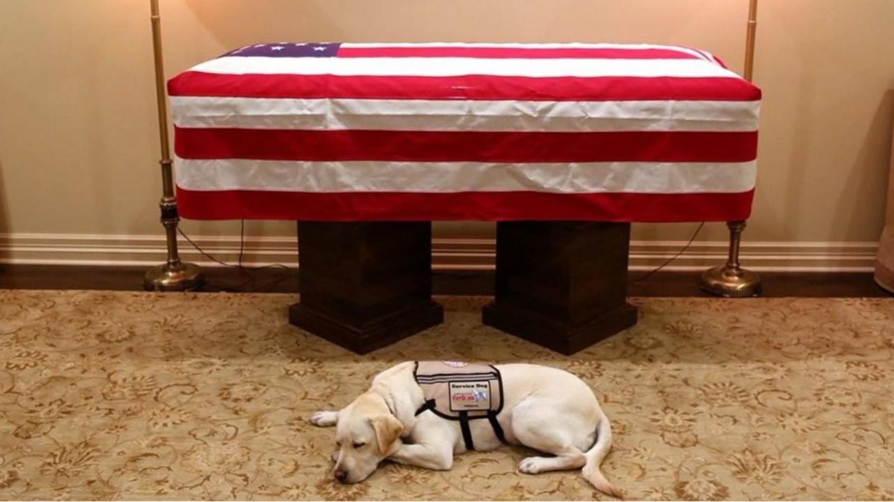 Bush family spokesman Jim McGrath on honored the service dog who accompanied George H.W. Bush during the former president's final months.