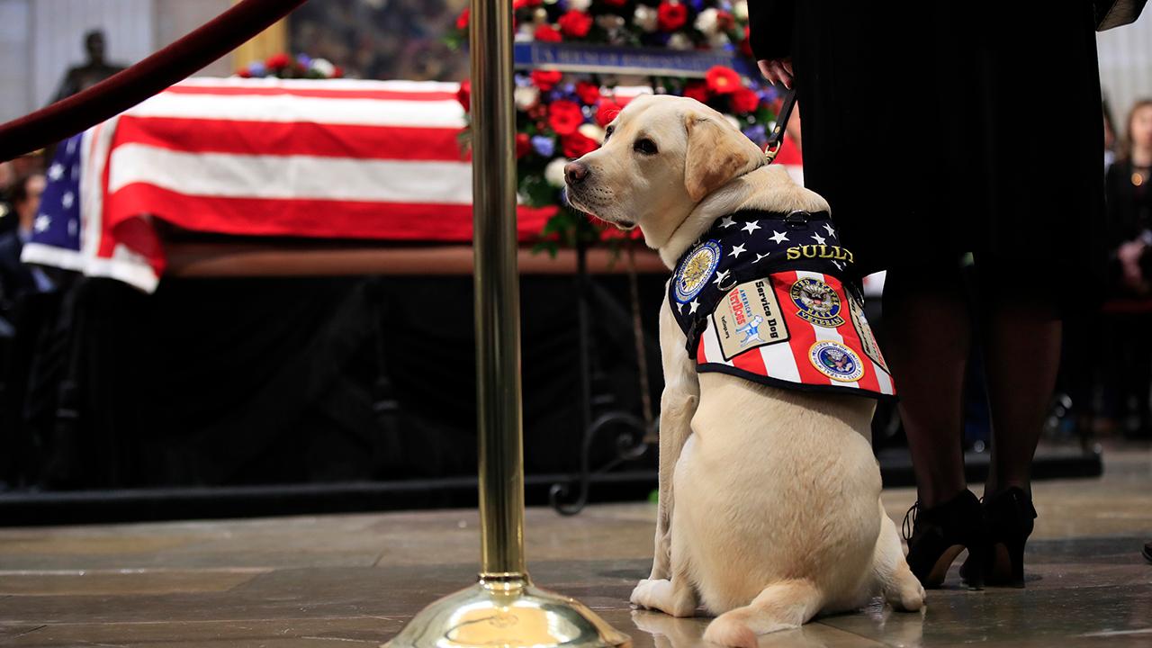 Service dog Sully, ADA beneficiaries pay respects to Bush 41