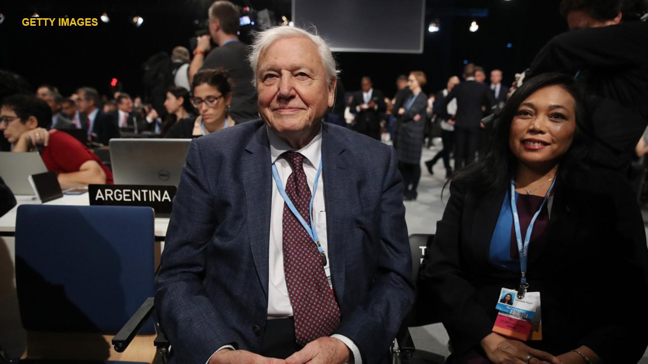 Sir David Attenborough predicts 'collapse of civilization' at UN summit