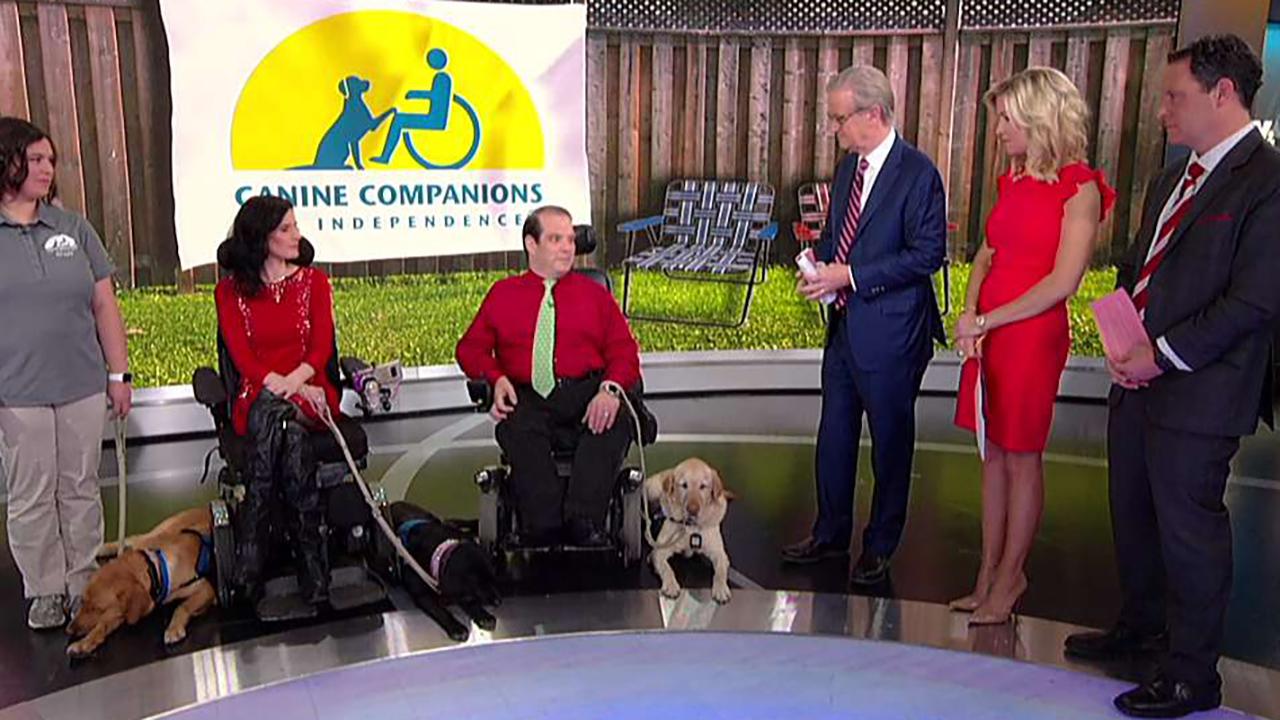 Service dogs stop by 'Fox & Friends'