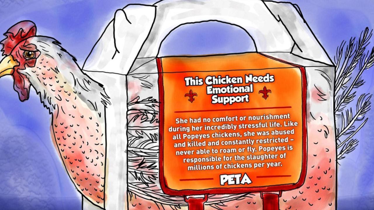 PETA condemns Popeyes’ emotional support chicken’ meal carriers