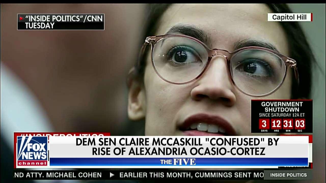 Democrat Schoen on 'The Five': Pelosi Should Tell Ocasio-Cortez to 'Be Silent for a While'