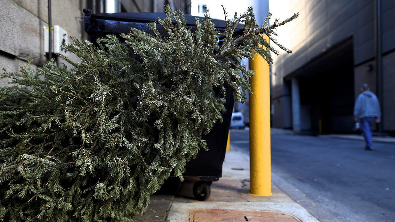 'Tis the season. . . to get rid of your Christmas tree. But how?