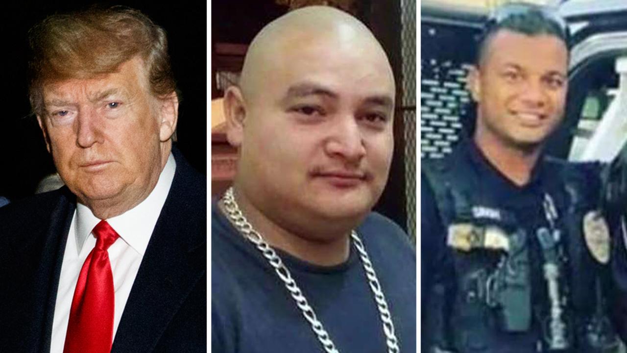 Trump uses accused cop killer's immigration status to argue for border wall funding amid partial government shutdown